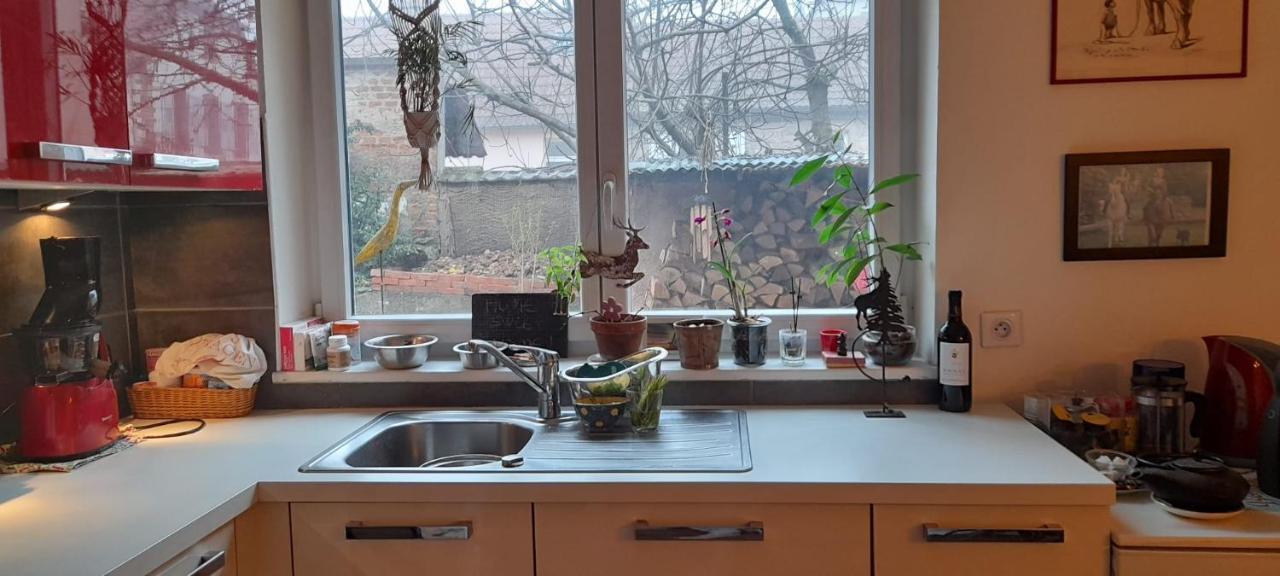 La Chambre Rose Rosenwiller Zewnętrze zdjęcie